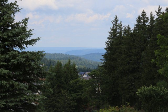 Vue par la forêt